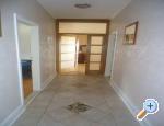 Apartmani Štefa Privlaka Chorwacja