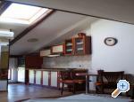Apartman Jadranka Pula Chorwacja