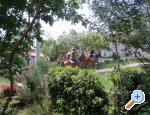 Vila Lori + bazen Pula Chorwacja