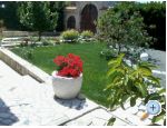 Apartments Ankica ostrov Rab Chorwacja
