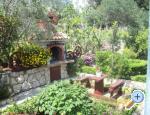 Apartman Haus Vesna ostrov Rab Chorwacja