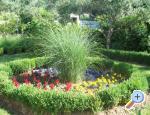 Apartman Haus Vesna ostrov Rab Chorwacja