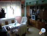 App Natural Mystic ostrov Rab Chorwacja
