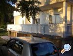 Apartments Halović ostrov Rab Chorwacja