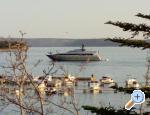Apartments Mare ostrov Rab Chorwacja