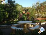 Apartments Mare ostrov Rab Chorwacja