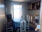 Apartments Sindi ostrov Rab Chorwacja