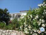 Villa Lolo ostrov Rab Chorwacja