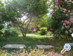 Villa Lolo ostrov Rab Chorwacja