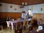 Villa Lolo ostrov Rab Chorwacja