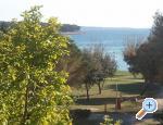 Villa Lolo ostrov Rab Chorwacja