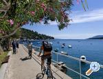 Apartman CAMI Rabac Chorwacja