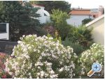 Apartman Brigita Rogoznica Chorwacja