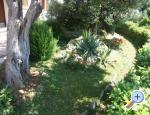 Santa Chiara Apartmani Rogoznica Chorwacja