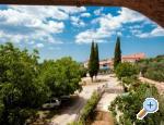 Apartman Morena Chorwacja