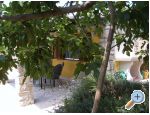 Apartman Morena Rovinj Chorwacja