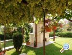 Apartmani Fantazija Rovinj Chorwacja
