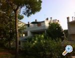 Apartmani Kump Chorwacja