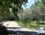 Apartmani Milena Juricic Rovinj Chorwacja
