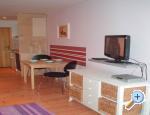 Stari grad Rovinj Chorwacja