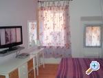 Stari grad Rovinj Chorwacja