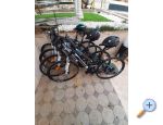 Apartmani Danijela �ibenik Chorwacja