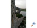 LAST MINUTE -60% from 01.06-30.06 Šibenik Chorwacja