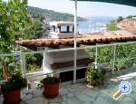 Apartments Dalmatia �olta ostrov �olta Chorwacja