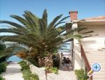 Apartman Ante Mendula ostrov �olta Chorwacja