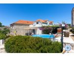 House Bezic ostrov �olta Chorwacja