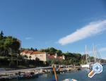 Apartments Oliva  ostrov �olta Chorwacja