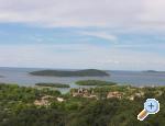 Apartments Oliva  ostrov �olta Chorwacja