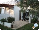 Apartments Oliva  ostrov �olta Chorwacja