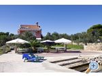 Apartmani Benic ostrov Ugljan Chorwacja