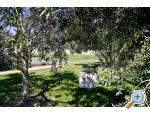 Apartmani Benic ostrov Ugljan Chorwacja