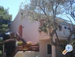 Apartmani Branko Vidakovi� ostrov Ugljan Chorwacja