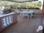 Apartmani Branko Vidakovi� ostrov Ugljan Chorwacja