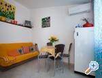 Apartments Ferina Poljana ostrov Ugljan Chorwacja