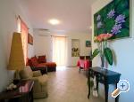 Apartments Ferina Poljana ostrov Ugljan Chorwacja