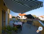 Apartments Ferina Poljana ostrov Ugljan Chorwacja