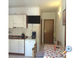 Apartmani Mladen ostrov Ugljan Chorwacja