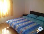 Apartments Dekovi ostrov Ugljan Chorwacja