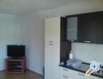 Apartments Dekovi ostrov Ugljan Chorwacja