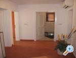 Apartman Jasmina ** Umag Chorwacja