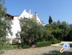 Apartmani Basic Chorwacja