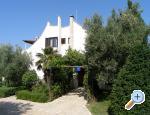 Apartmani Basic ostrov Vir Chorwacja