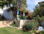 Apartmani Tribunj Vodice Chorwacja