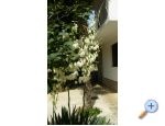 Apartm�ny Vitali Vodice Chorwacja