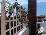 Andali apartmani Zadar Chorwacja