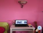 Andali apartmani Zadar Chorwacja